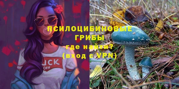 гидра Армянск