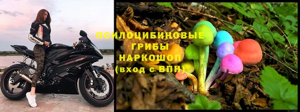 спайс Аркадак